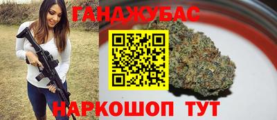 крисы Гай