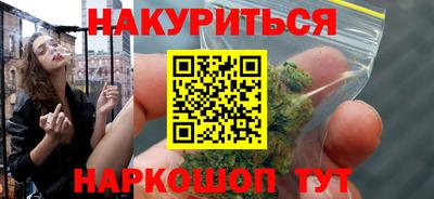 крисы Гай