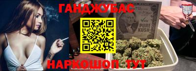 крисы Гай