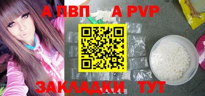крисы Гай
