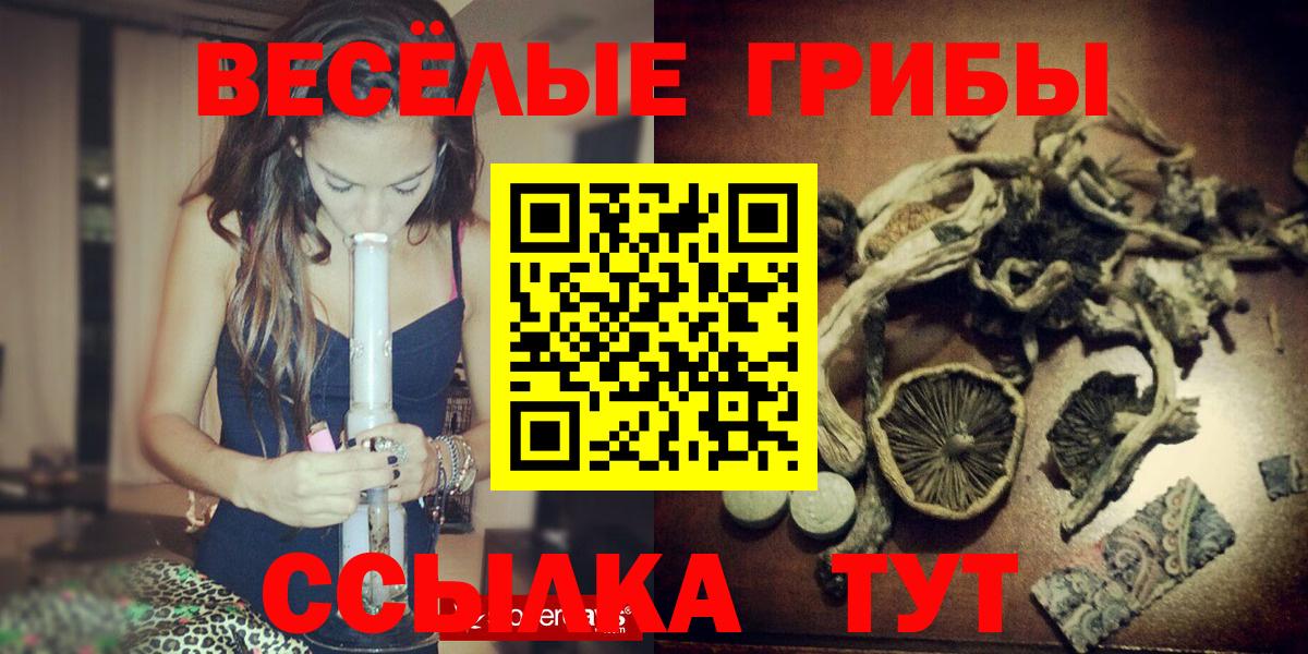купить   Вход с VPN  Можайск  Галлюциногенные грибы Psilocybe 