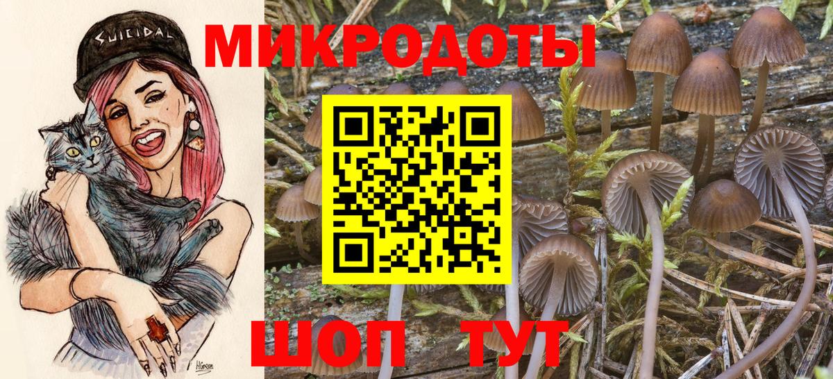 Галлюциногенные грибы Magic Shrooms Можайск